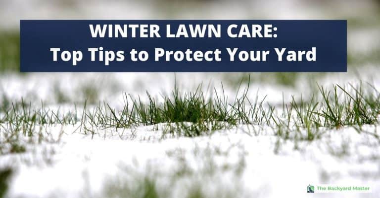 12 Winter Lawn Care Tips to Protect Your Yard - The Backyard Master
