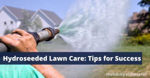 How to Care for Your Newly Hydroseeded Lawn - The Backyard Master