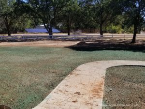 How to Care for Your Newly Hydroseeded Lawn - The Backyard Master