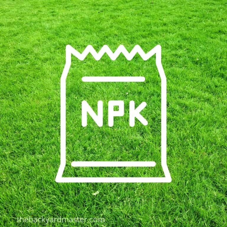 The Best Lawn Fertilizer Ratios for Spring and Summer The Backyard Master