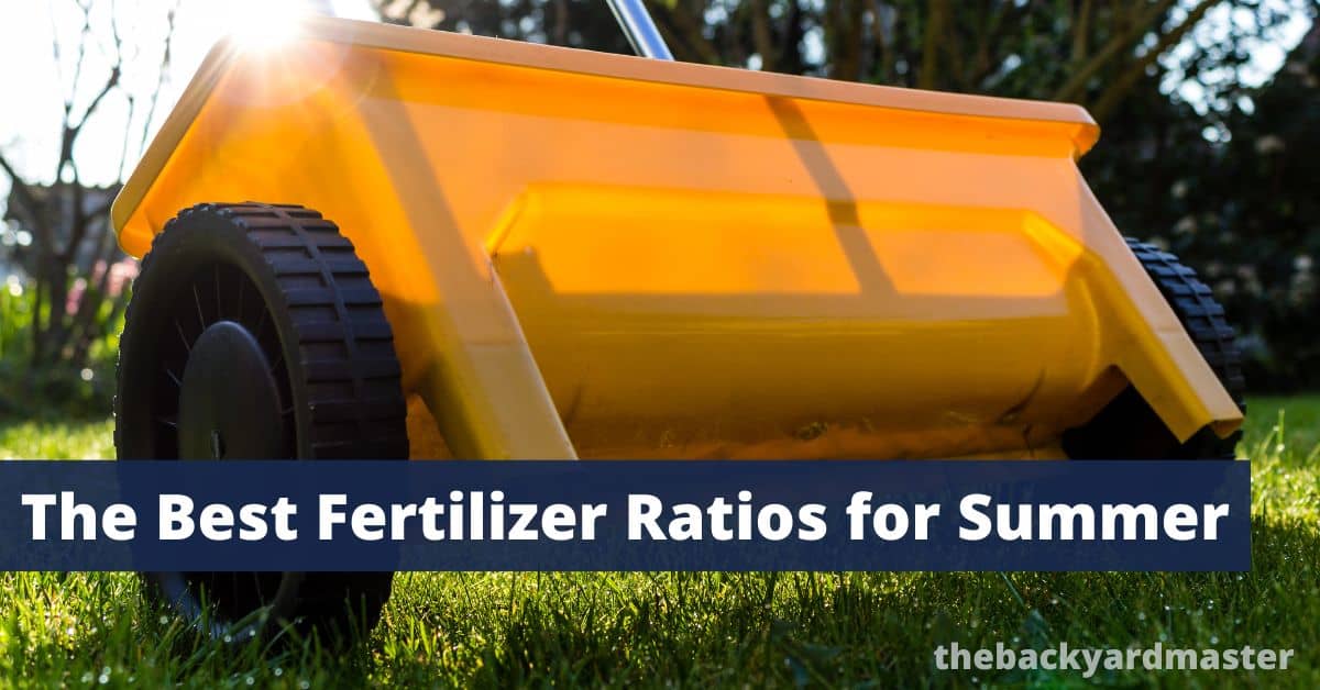 The Best Lawn Fertilizer Ratios for Spring and Summer The Backyard Master