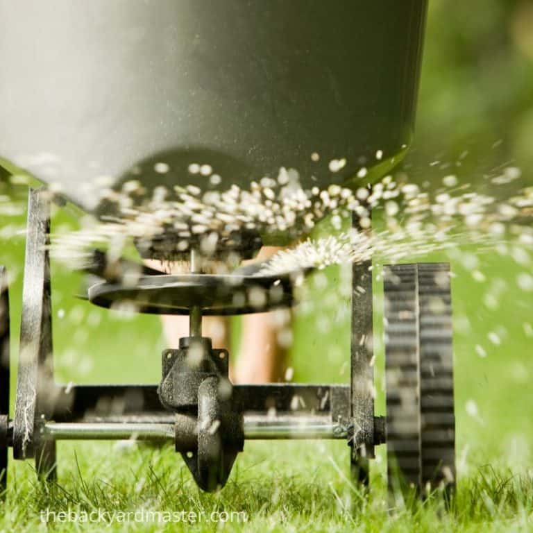 The Best Lawn Fertilizer Ratios for Spring and Summer The Backyard Master